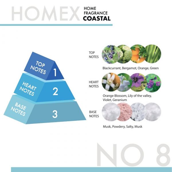 Homex Air Freshener Coastal 300ml