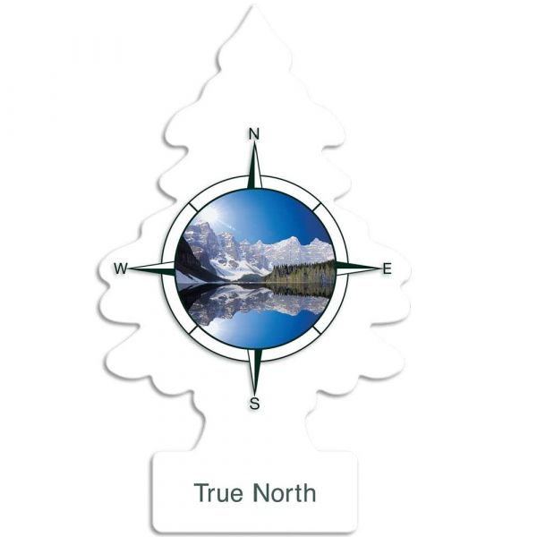 Little Trees Air Freshener True North