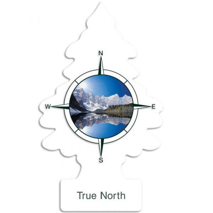 Little Trees Air Freshener True North