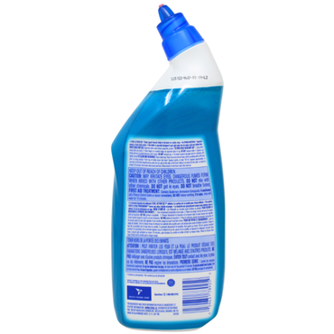 Lysol Toilet Bowl Cleaner Action Gel Spring Waterfall 710mL