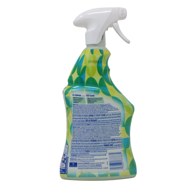 Lysol Disinfectant Spray Apple Blossom 650mL
